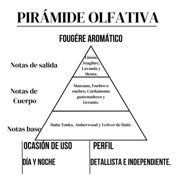 Perfume Tedd 15ml de Amakha París - Imagen 3
